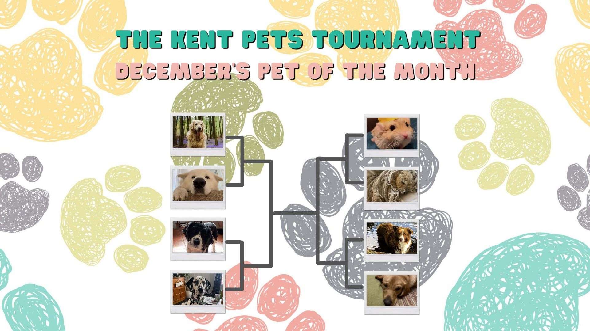 Who do you think should take part in the next round of the Kent Pets Tournament?