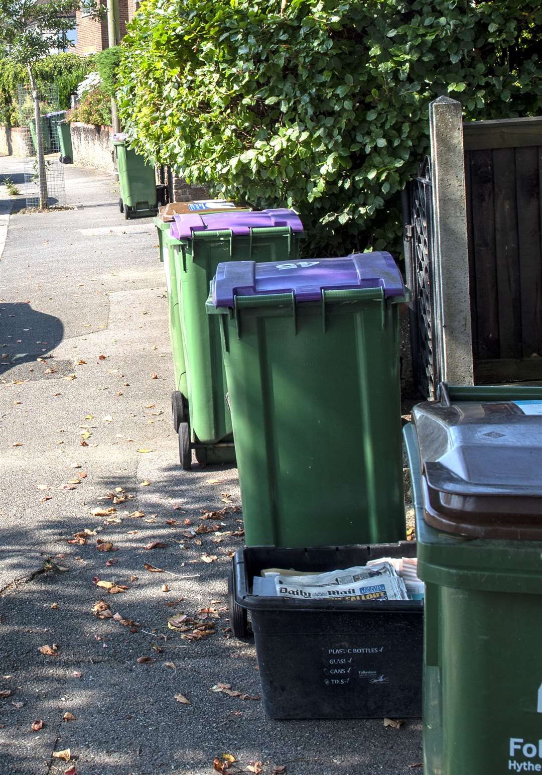 Numerous green bins have been left out on the street in Folkestone. Photo: Mark Hourahane (49464713)