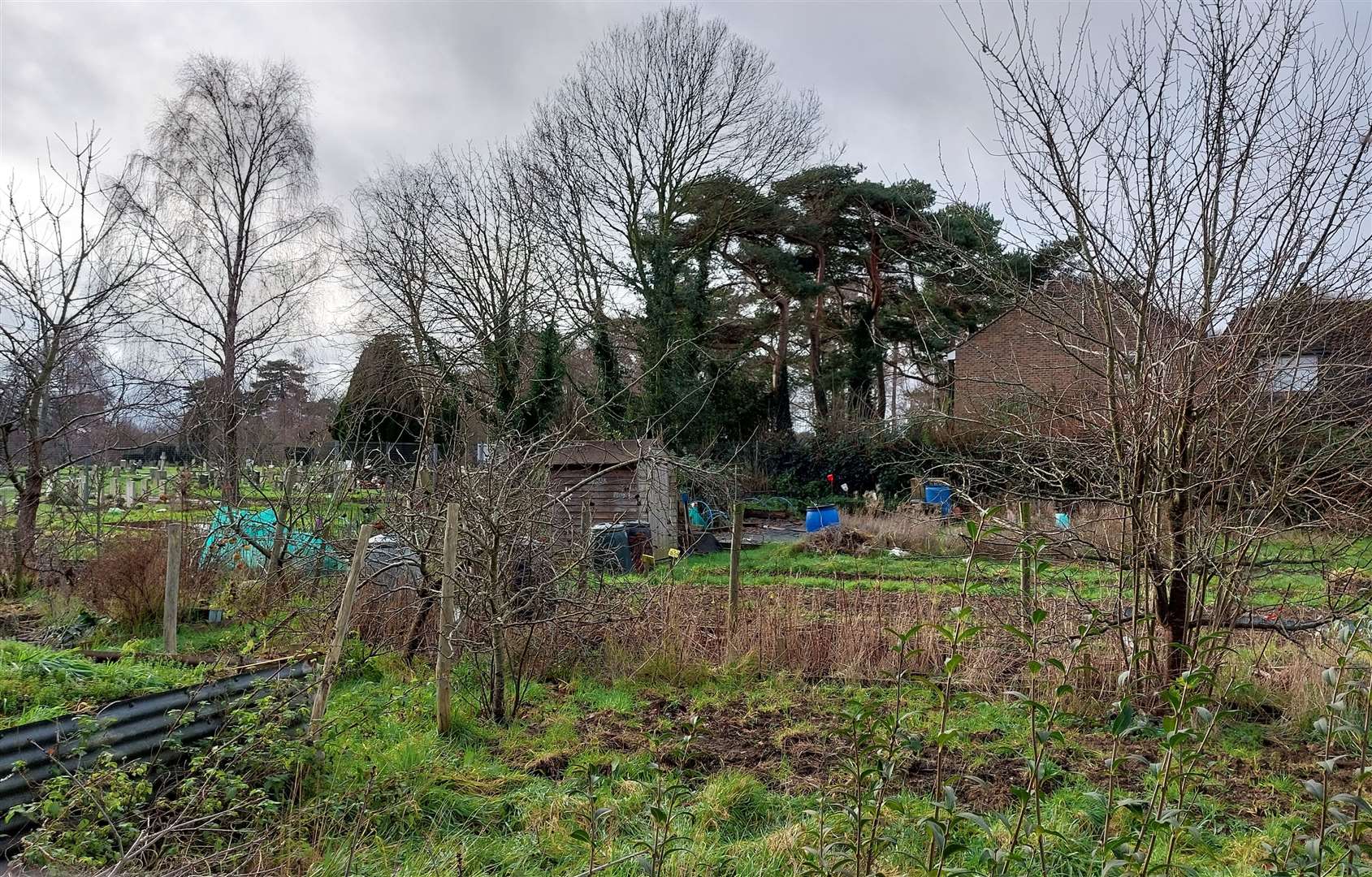 Kennington Community Council says prices would need to double again for the allotments to break even
