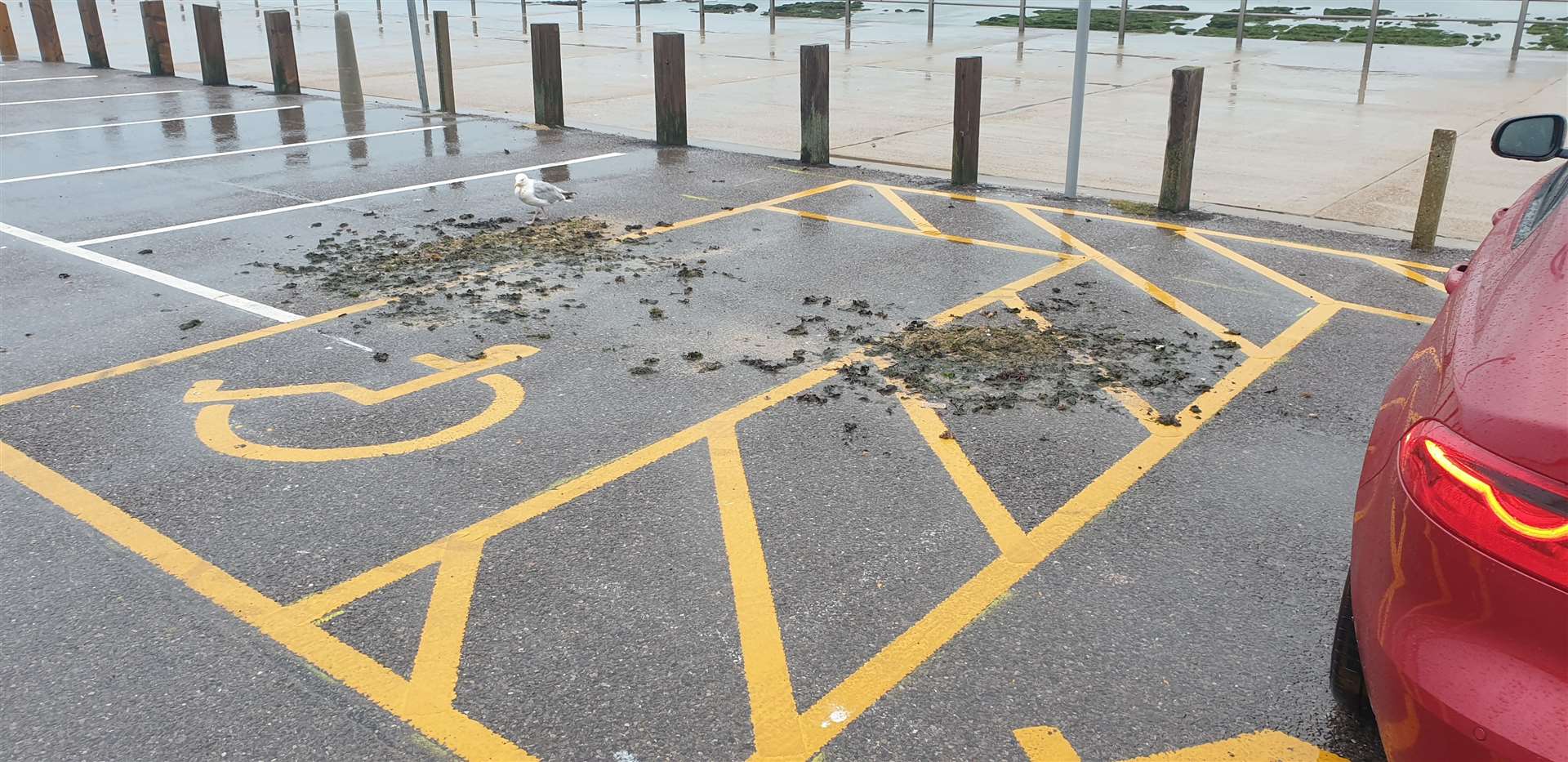 The horse manure left over a disabled bay. Picture: Iain MacDonald