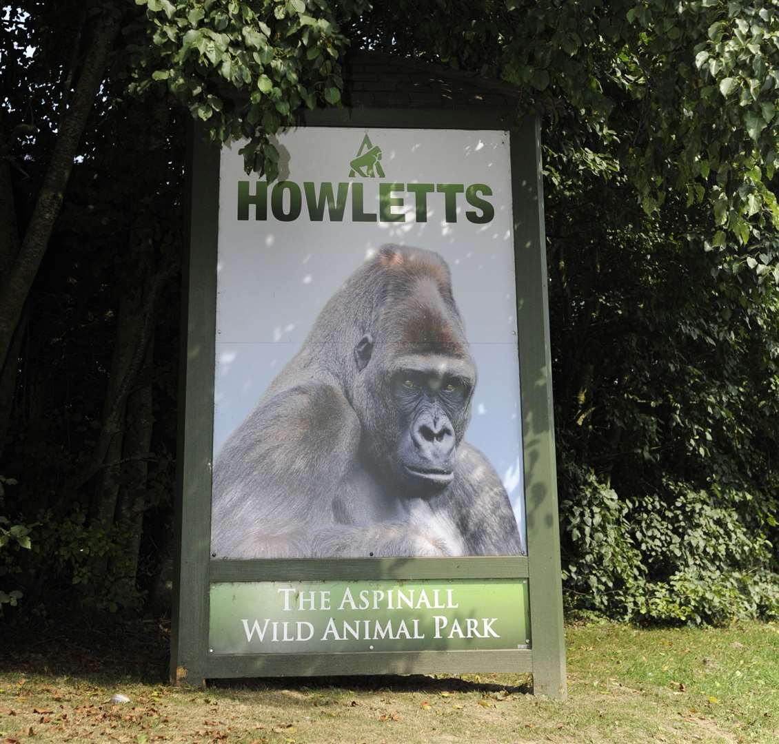 Howletts Wild Animal Park, Bekesbourne. Picture: Tony Flashman