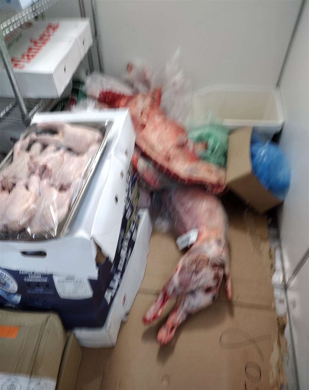 A picture taken by inspectors of carcasses dumped in on top of cardboard at Dubai Market. Picture: Thanet District Council