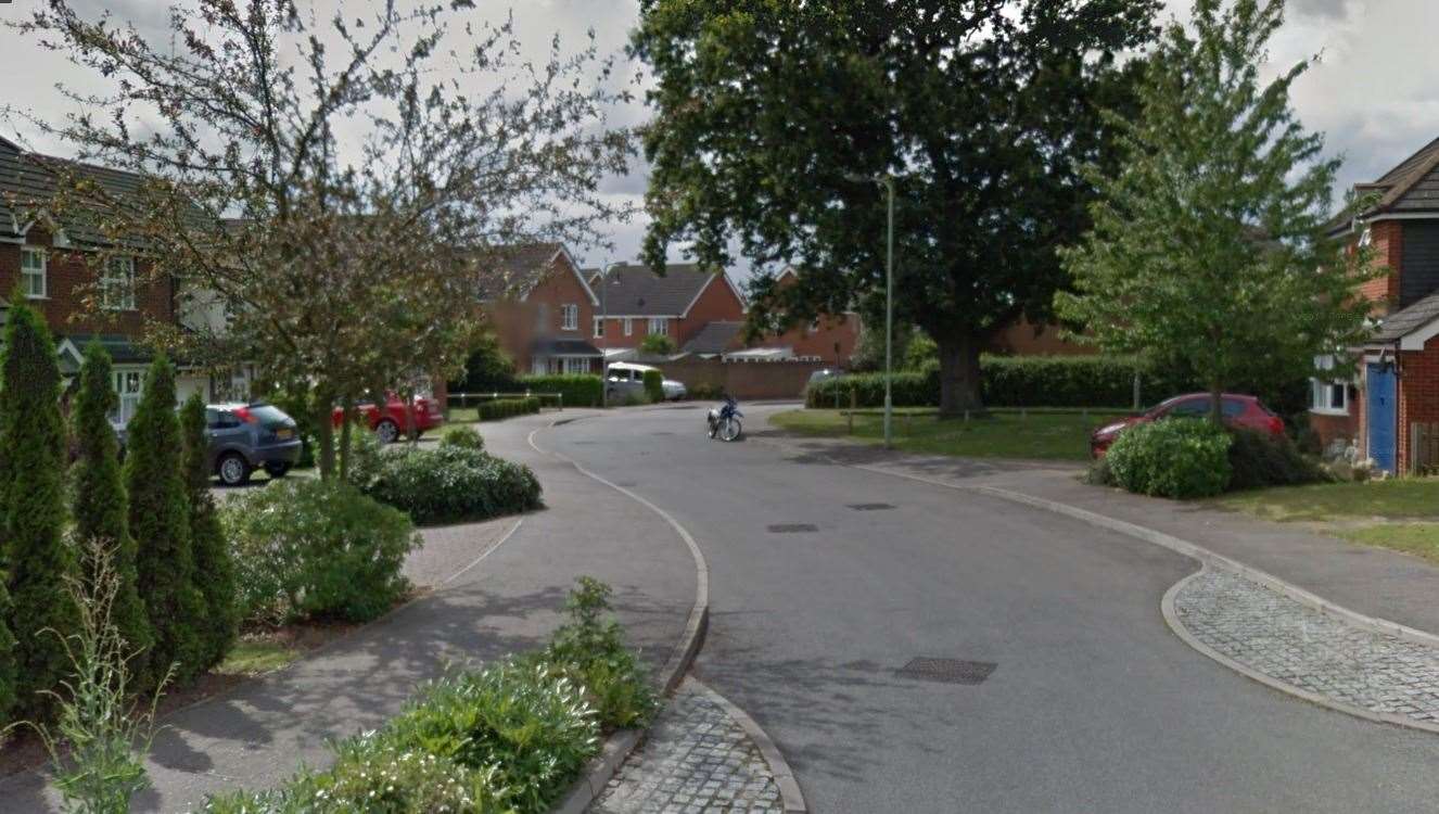 The Constantine Road burglary took place in the afternoon. Picture: Google