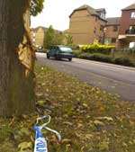 The car hit a tree on the Espanade, Rochester. Picture: BARRY CRAYFORD