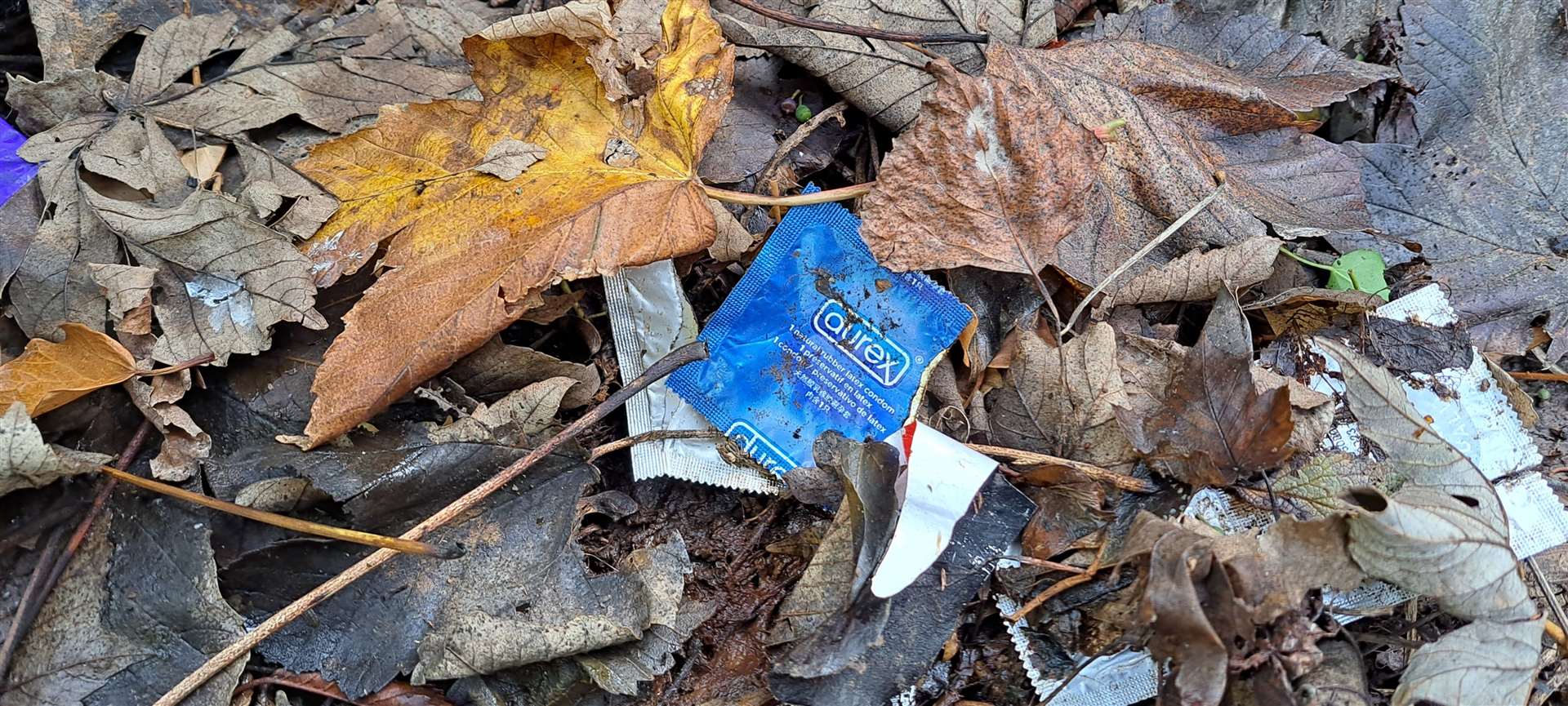 Condom packets at Borden Nature Reserve. Picture: Megan Carr