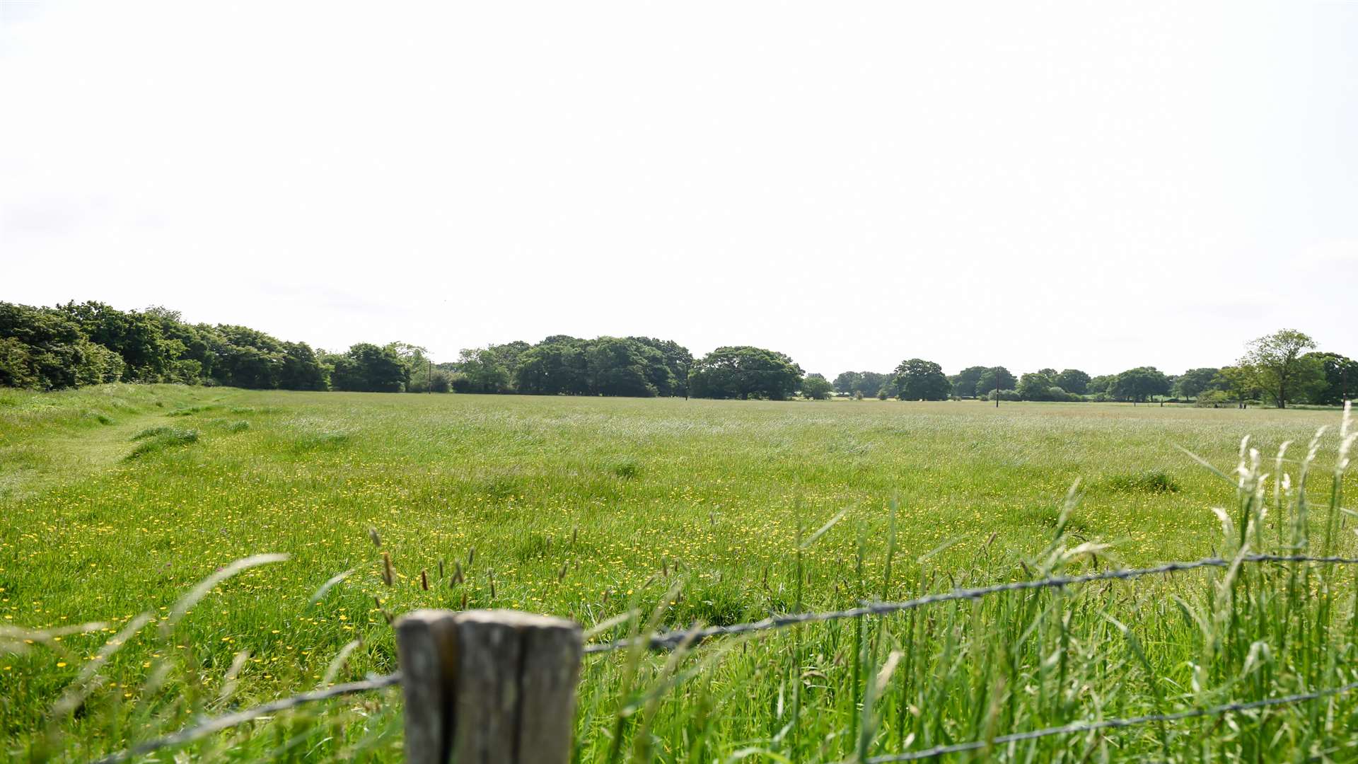 Fields surrounding Court Lodge Farm to the south of Pound Lane have been earmarked for housing