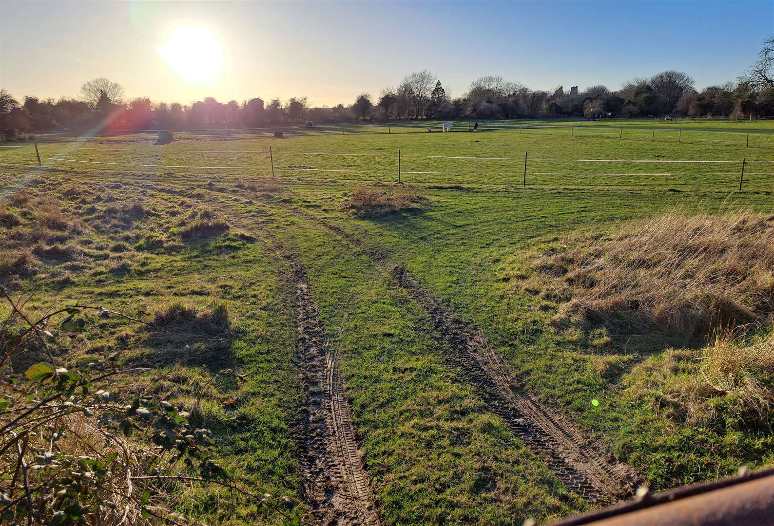 The horse field where the houses are planned off St Edmunds Road, Great Mongeham