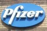 Pfizer employs at least 3,000 staff at Sandwich. File image