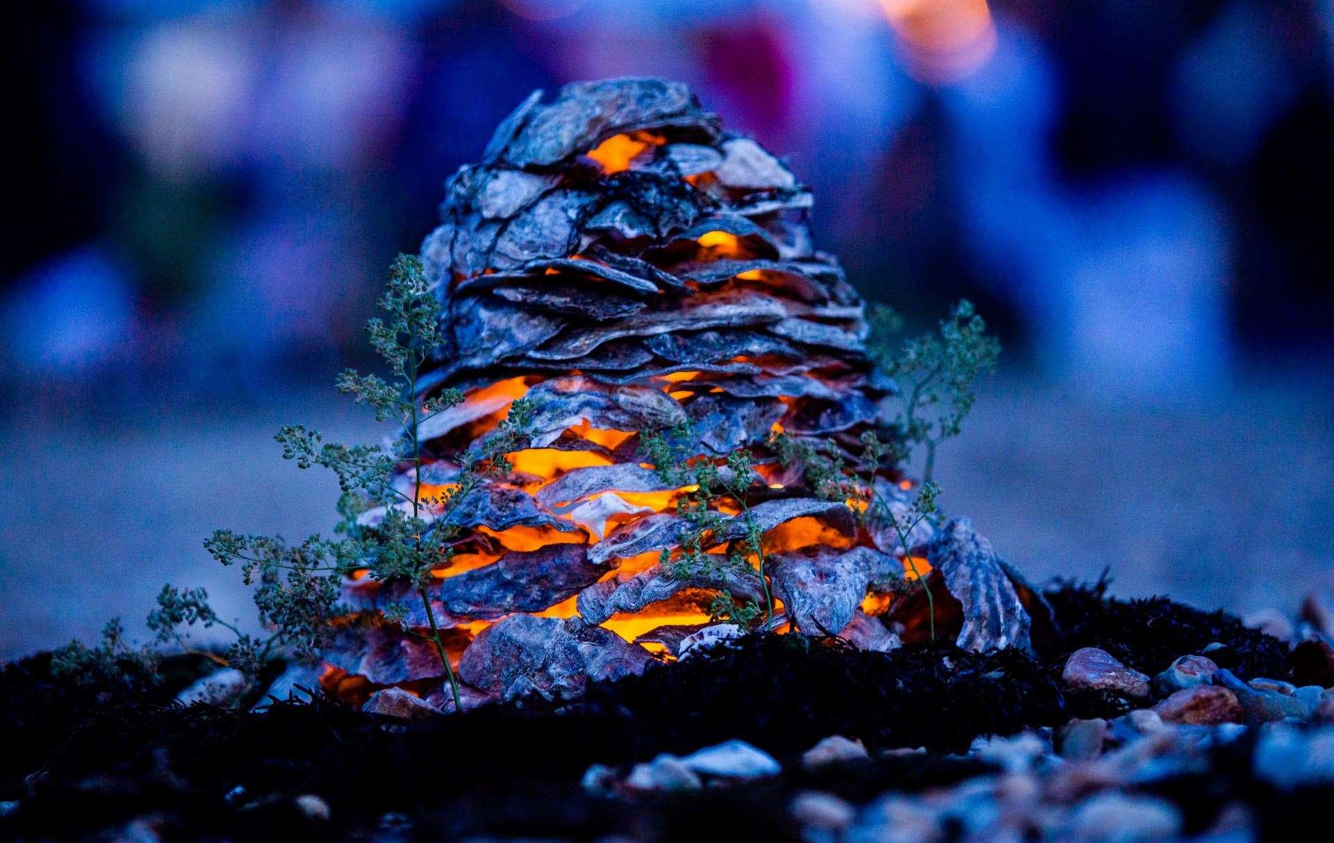 At the event you can learn to build a grotter, a structure built with oyster shells and lit with a candle. Picture: Peter Hawley