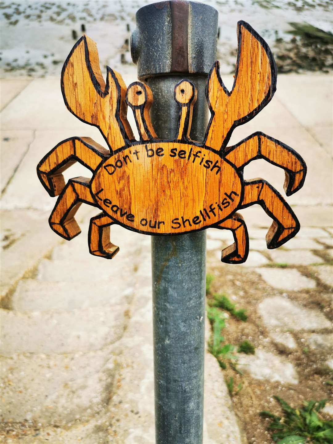 The community in Grain has created signs requesting beach combers not to take shellfish away