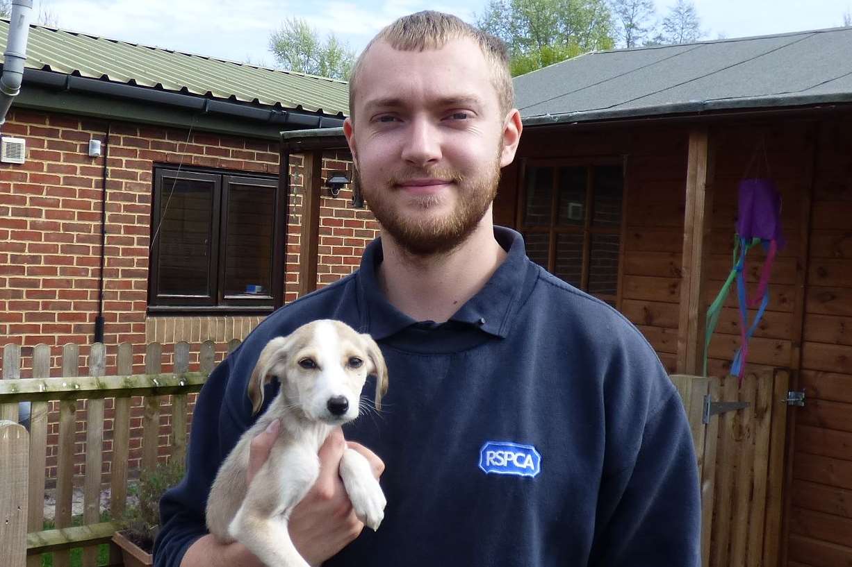 Simon McArdle from the RSPCA