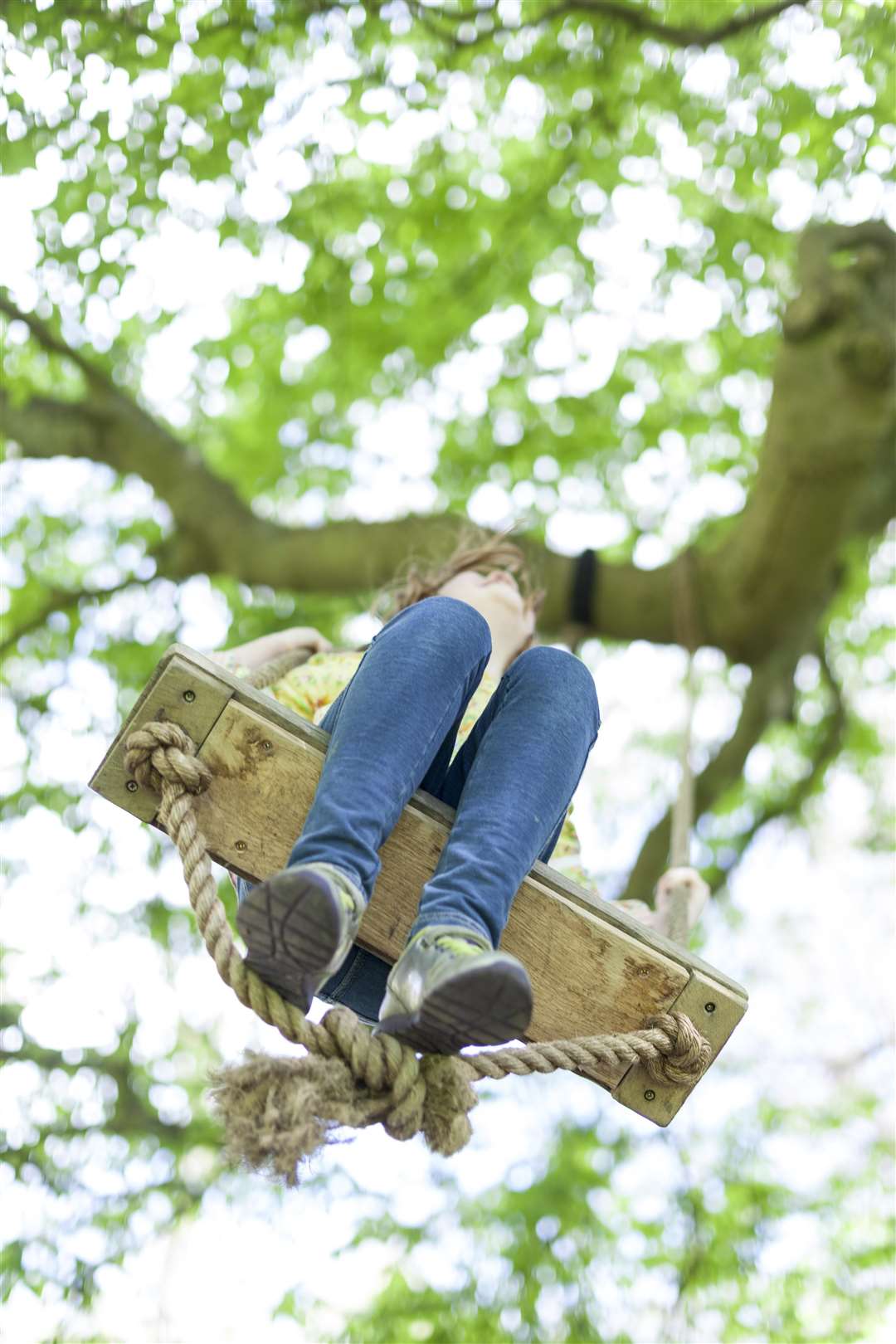 Swing into action this half term Picture: National Trust, Oskar Proctor