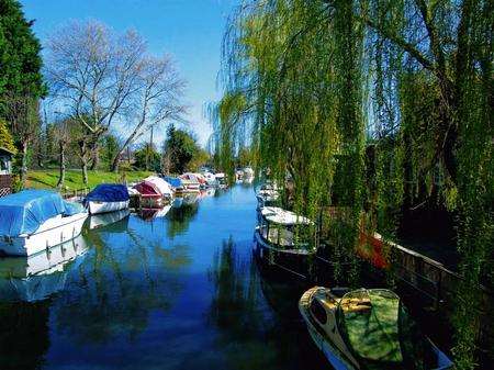 See the scenery around the River Stour on the Grove Ferry river trip