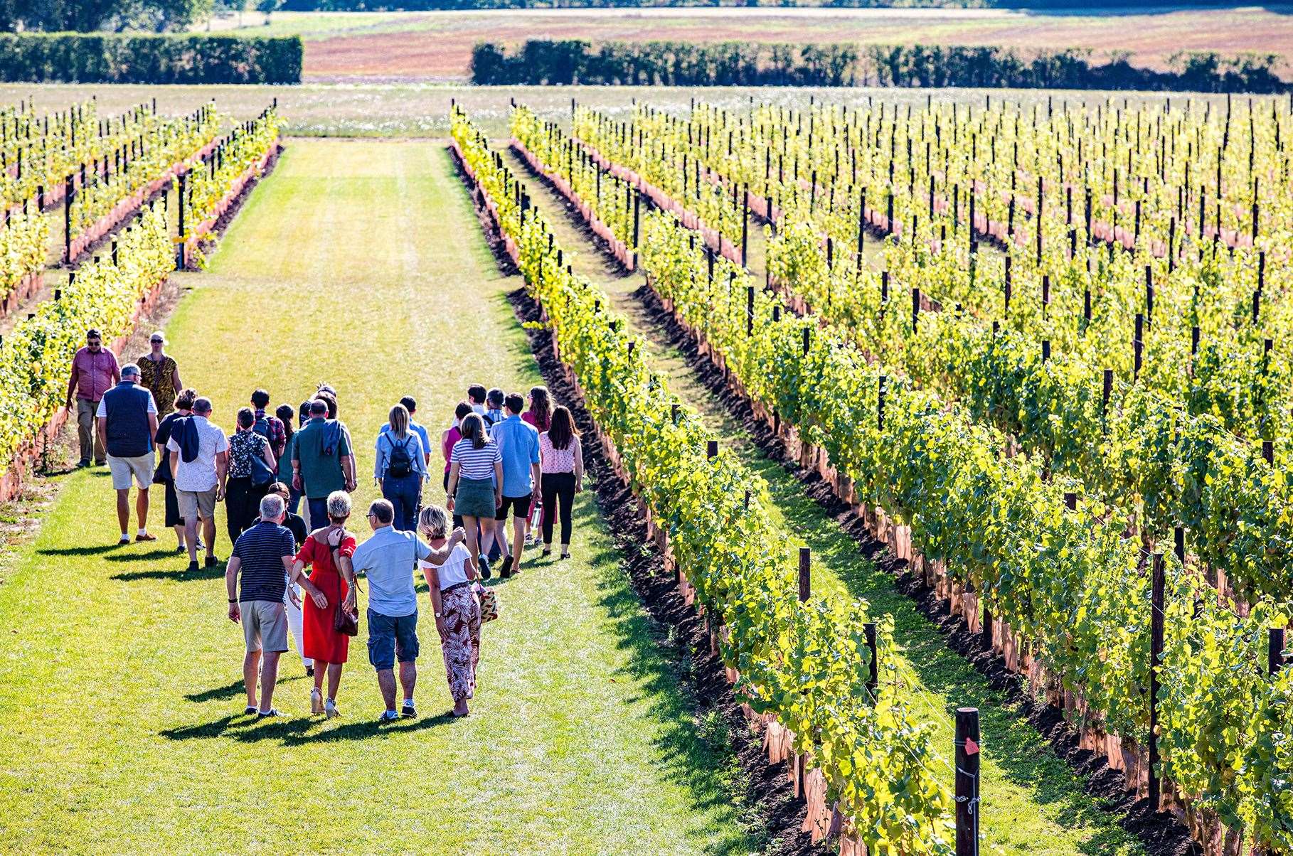 Wine tourism advocates say more visitors will produce greater benefits for other hospitality and leisure businesses