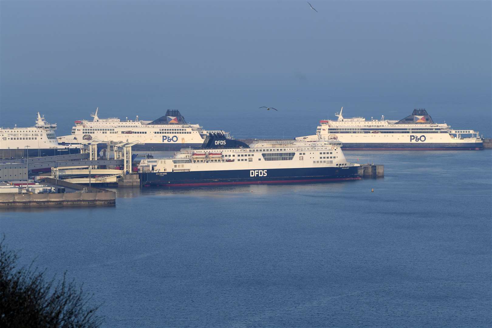 No P&O ships have sailed from Dover since the shock announcement last Thursday. Picture: Barry Goodwin