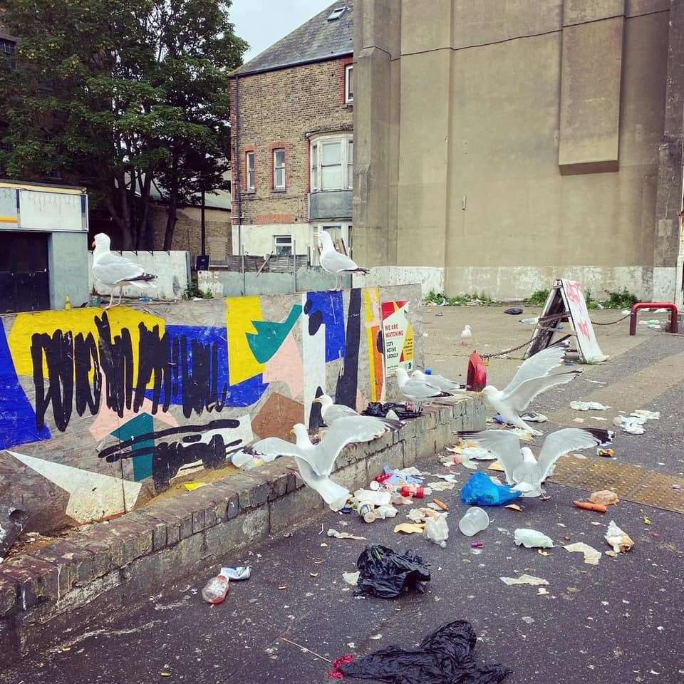 Seagulls feast on rubbish in Cliftonville. Picture: Friends of Cliftonville Coastline