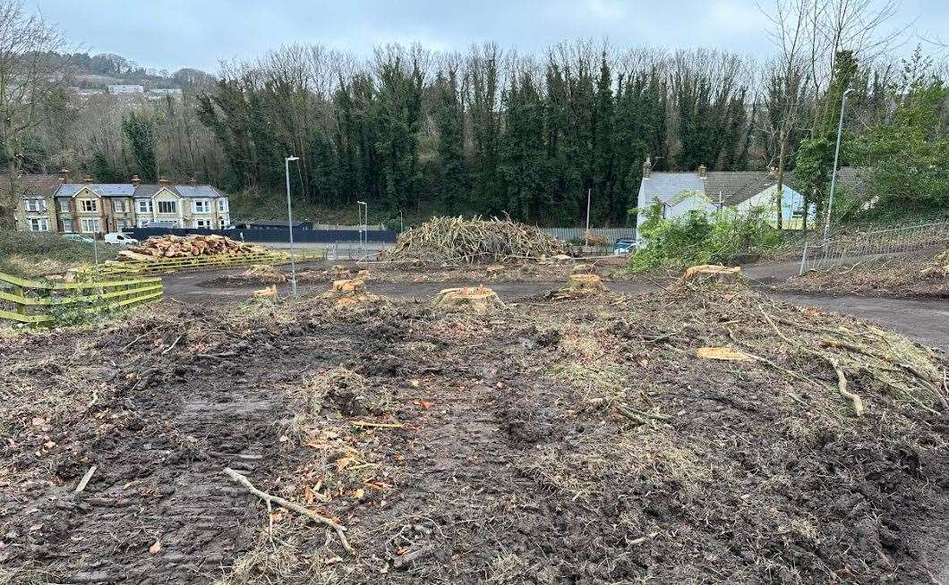 How the area looks now the beech trees have been removed. Picture: Nicola Davies