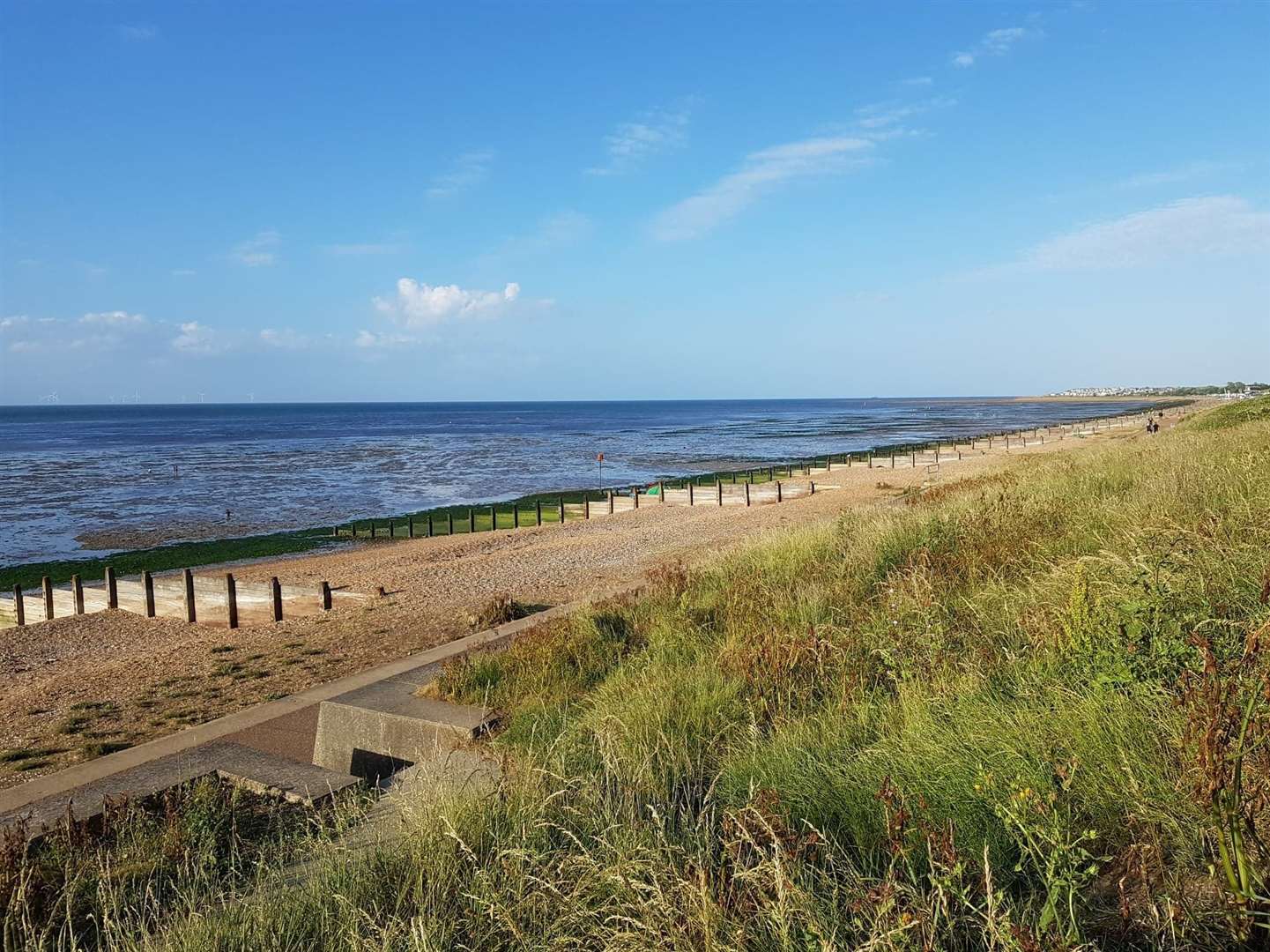 People are being advised not to enter the water at Tankerton