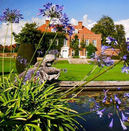 The flowering agapanthus is bursting into colour later than usual at Hole Park Gardens