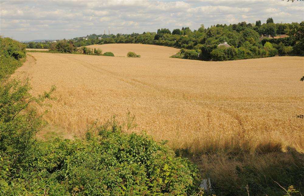 400 homes will be built off Coldharbour Road