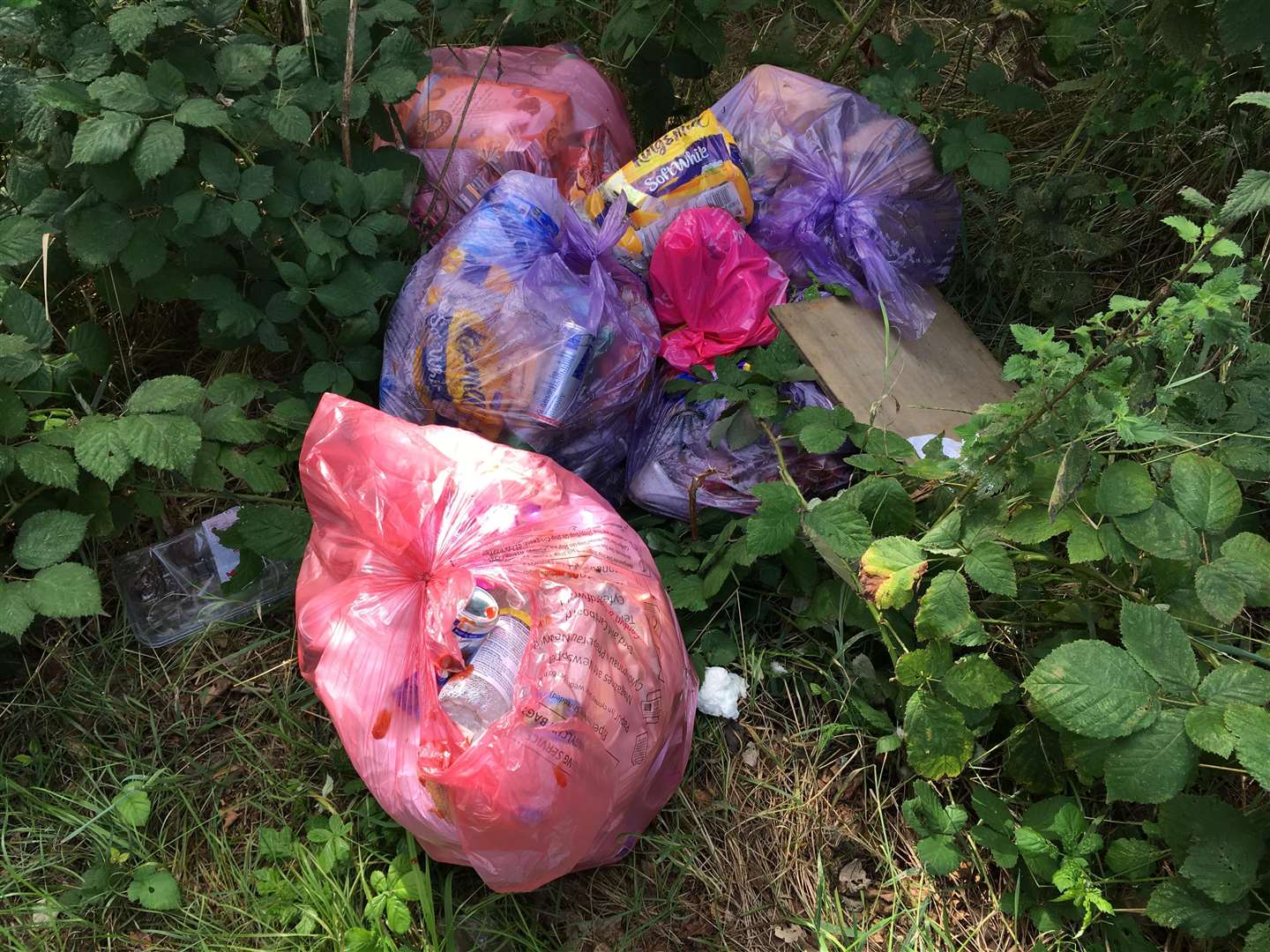 Rubbish left behind by travellers at Mote Park in Maidstone
