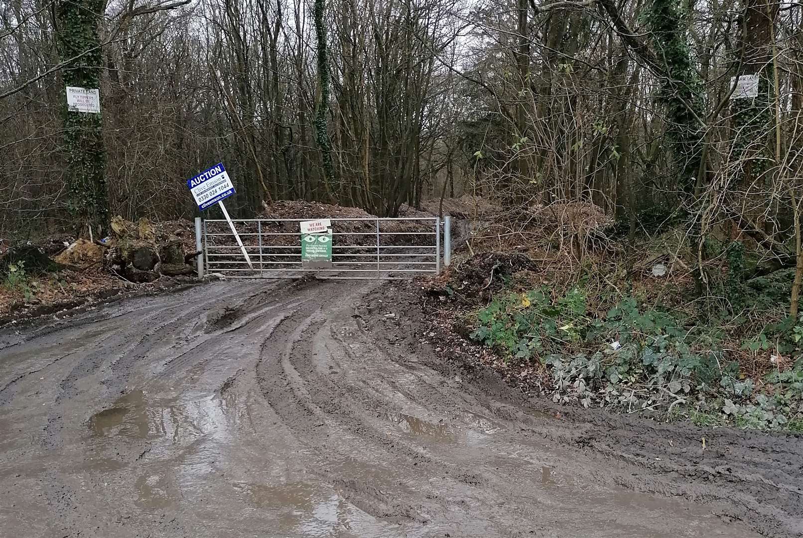 The Environment Agency has closed off the woodland following a KentOnline story in January