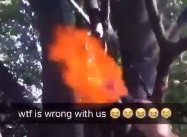 A still from the video sent out on Snapchat by children in Kent. Picture: RSPCA
