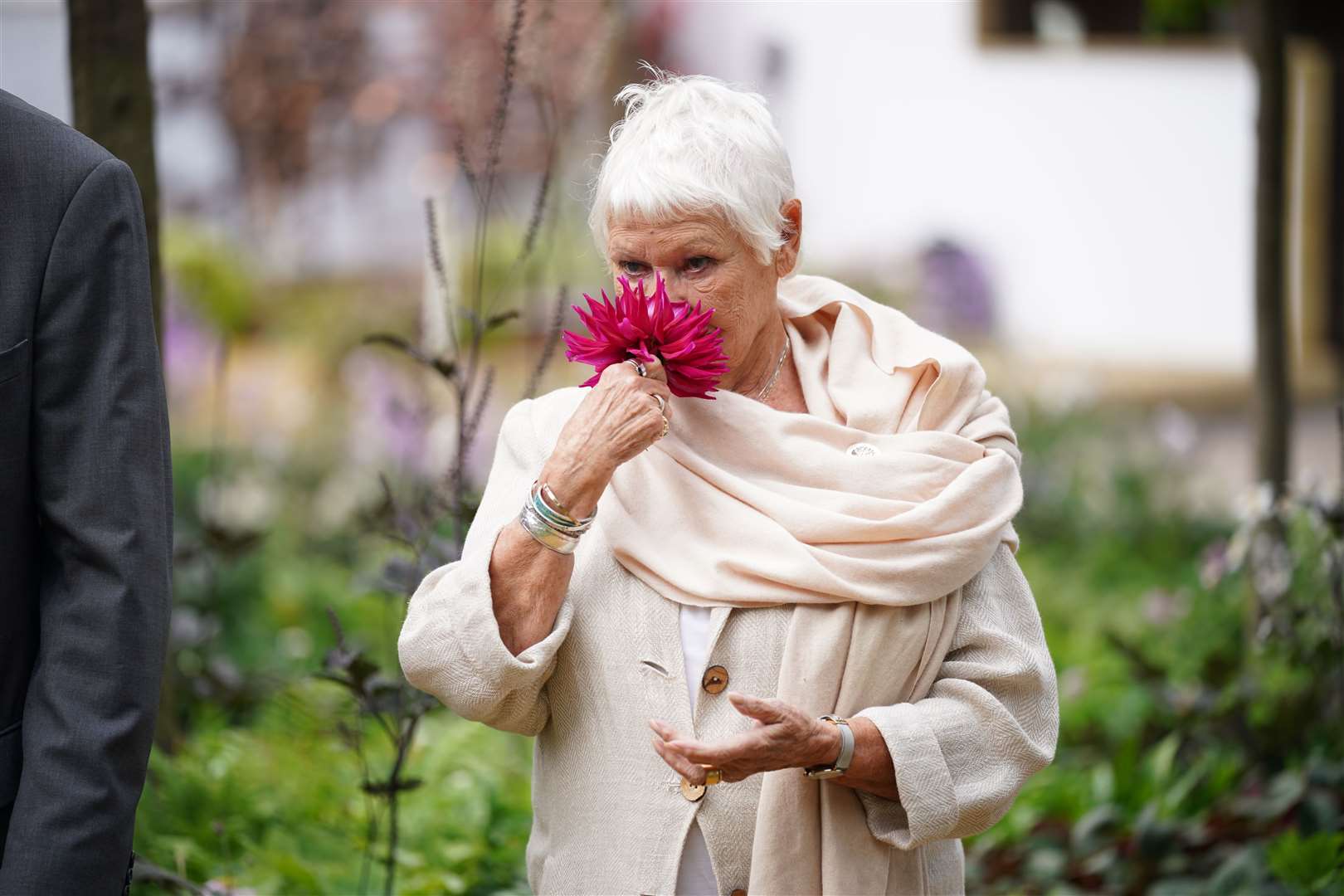 Dame Judi Dench sniffs a bloom at the Royal Hospital Chelsea during the event’s press launch (Yui Mok/PA)