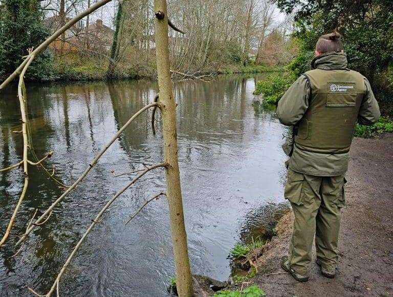 Fishing enforcement patrols are being stepped up after a rise in illegal anglers in Kent