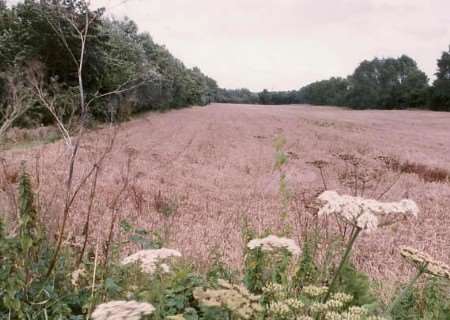 The site of the proposed Broad Oak reservoir