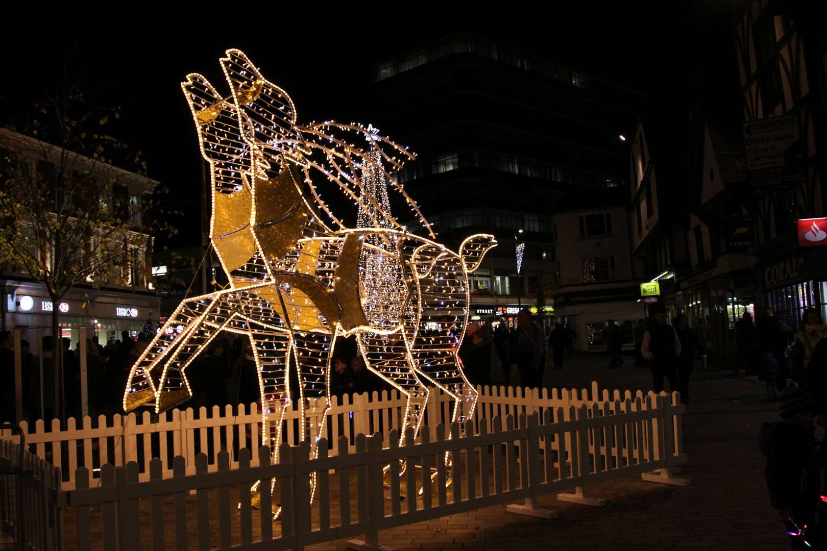 The illuminated reindeer in happier times