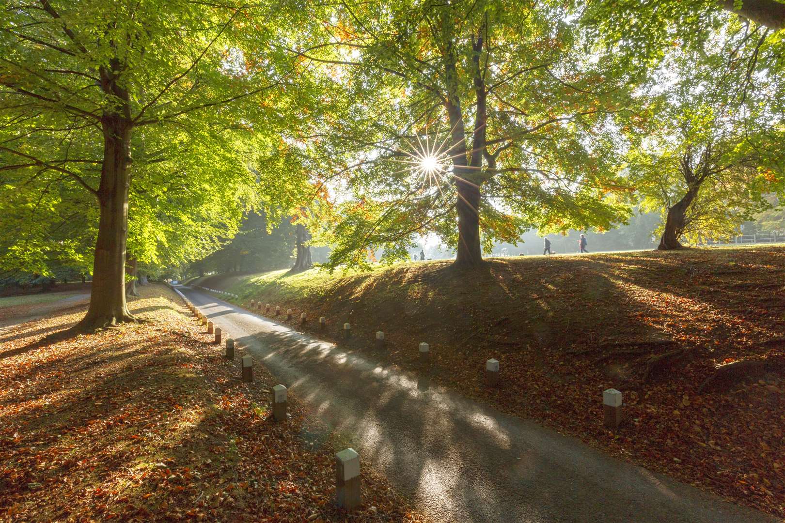 Mote Park is open to people doing their daily exercise - but not for any other leisure activities