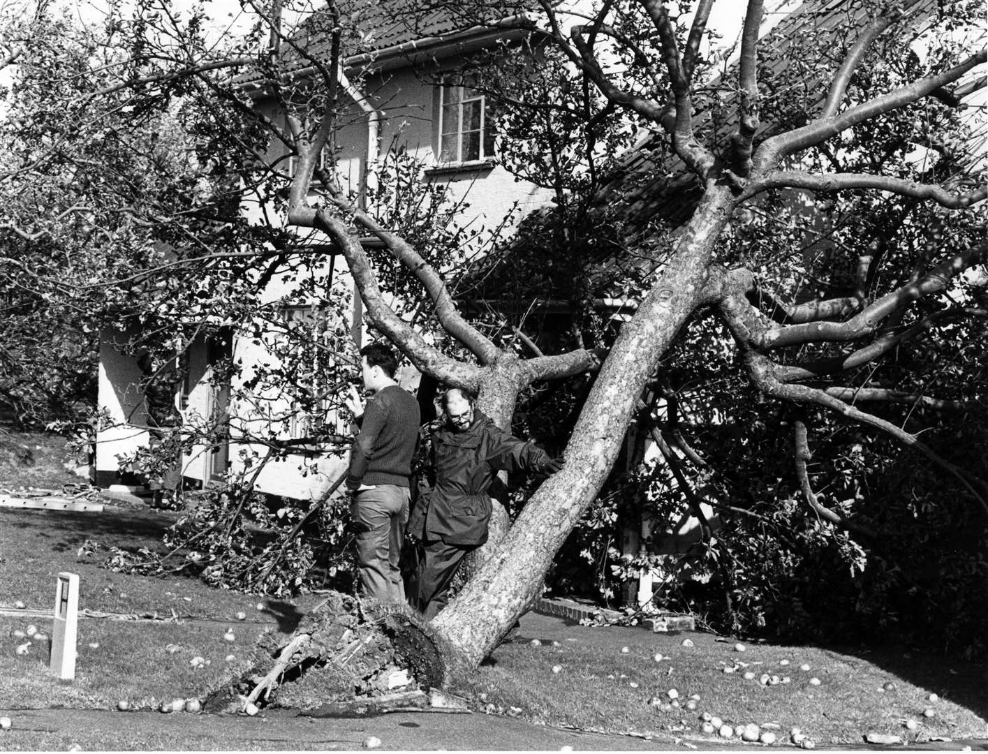 Residents survey the damage in Orchard Drive after the Great Storm in October 1987