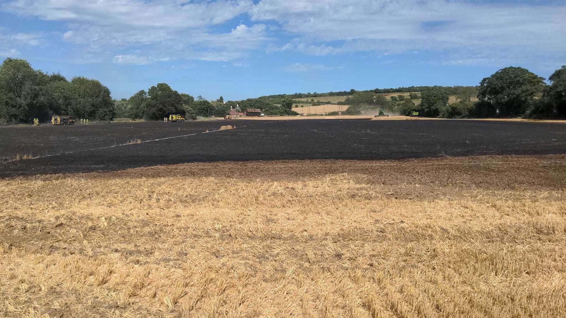 Over 20 acres of standing wheat was lost. Picture: Laura Brady