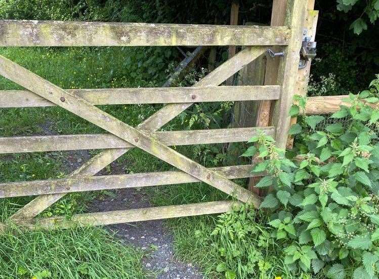 The dog owner says that the gaps underneath the gates need to be made smaller