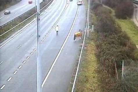 Horse near junction 12 of M20. Picture: Kent 999s