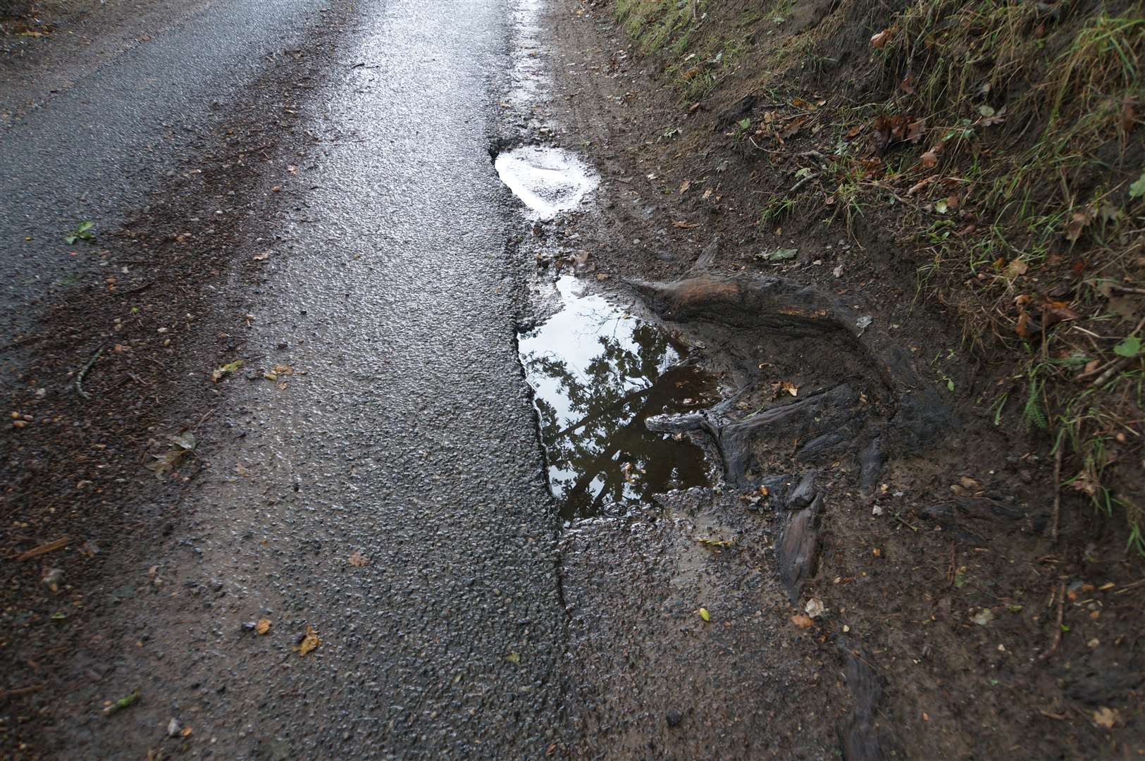 Potholes have developed in Old Mill Road