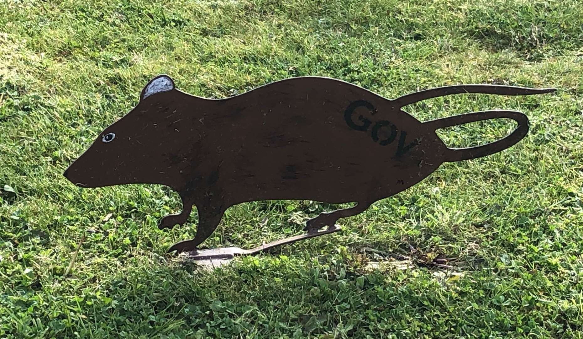 Rats with the abbreviation 'gov' appeared on a number of Ashford's roundabouts in 2019