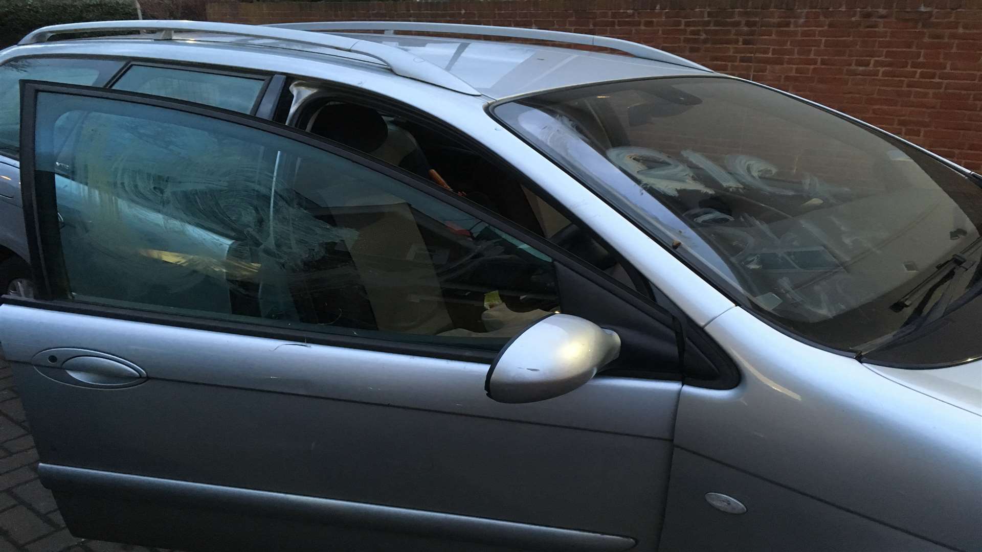 Elise Paterson returned from her dog walk to find her car covered in excrement