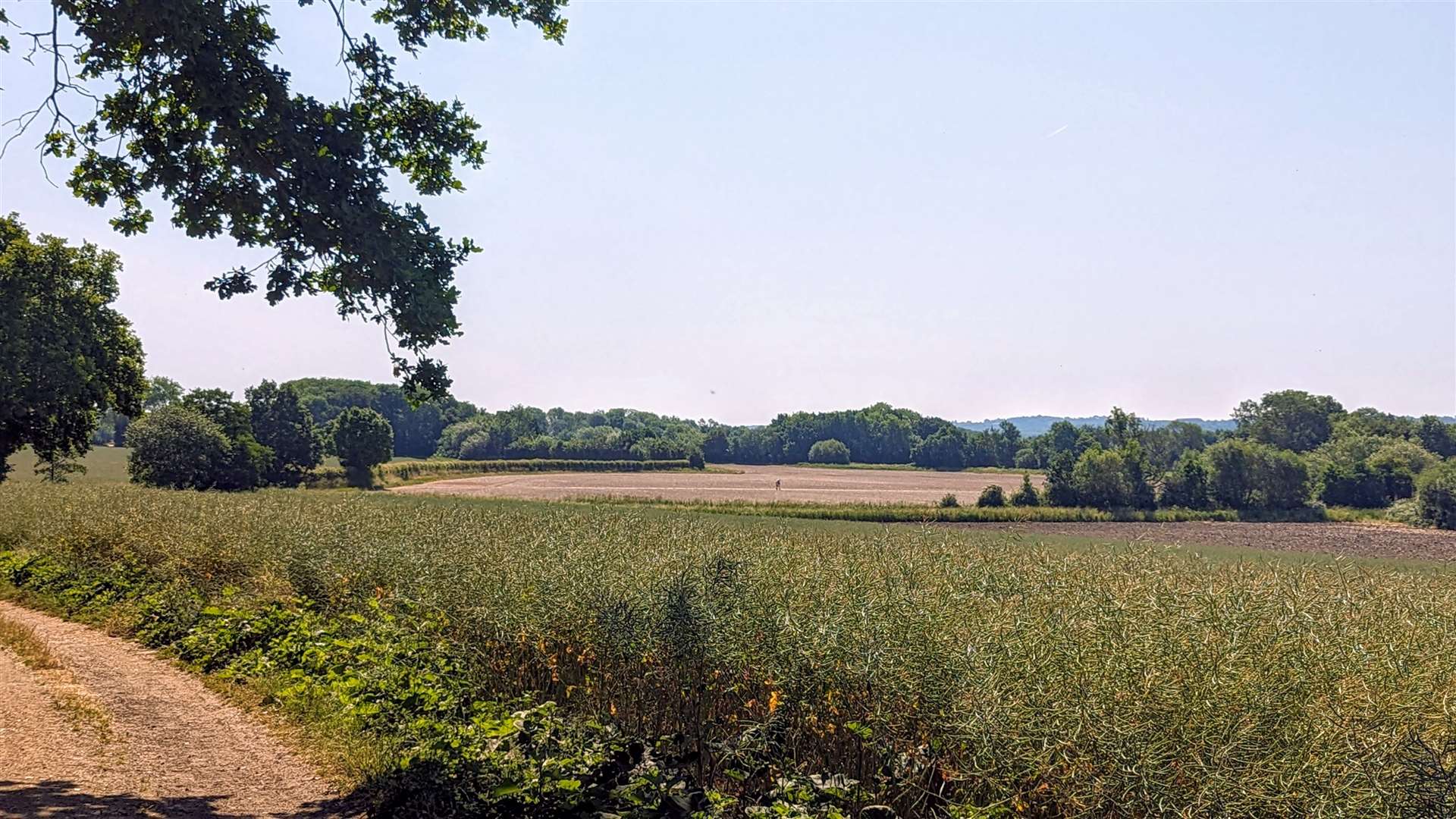 The walk enjoys great views out across the Kent countryside
