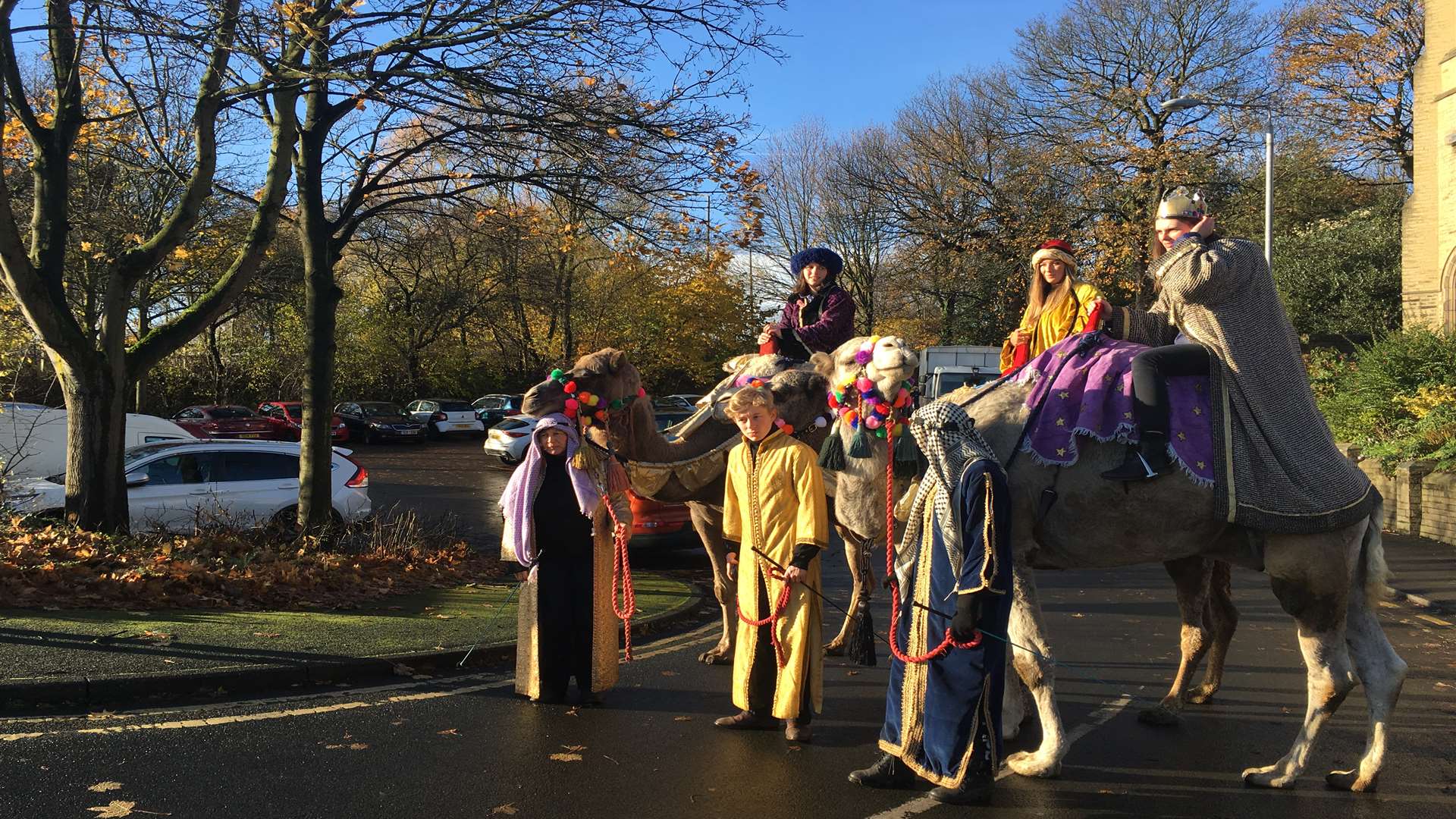 A parade of camels in Brighouse