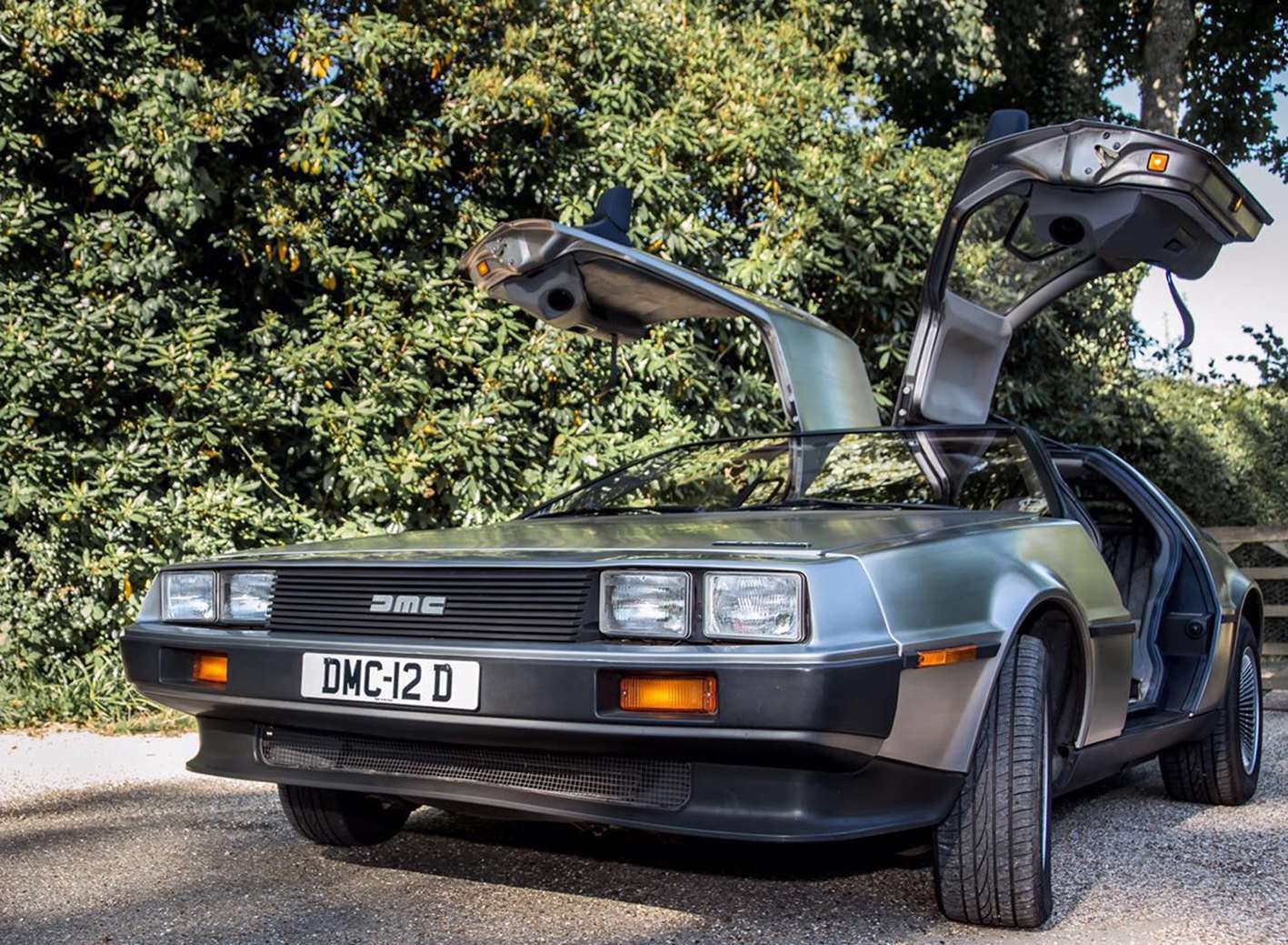 A DeLorean will visit Bewl Water this weekend