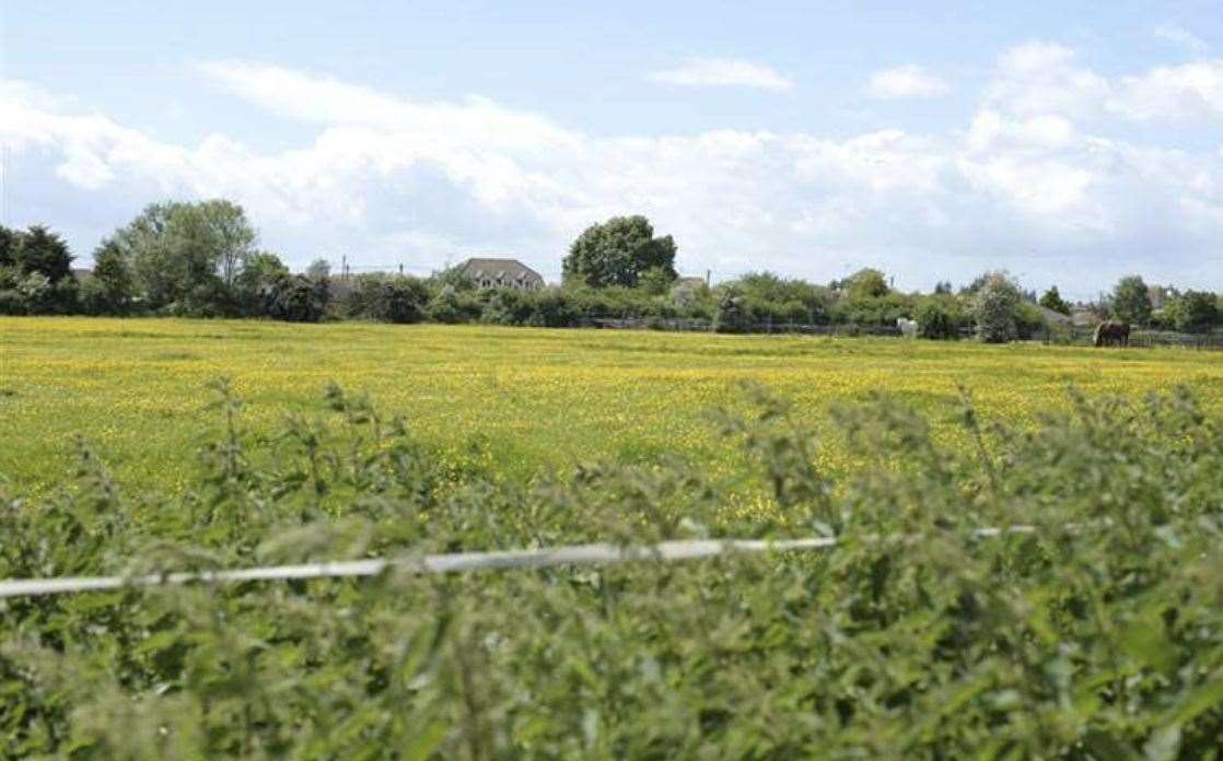 Proposals would see a 300-home estate alongside a care home and secondary school built on fields in Chestfield