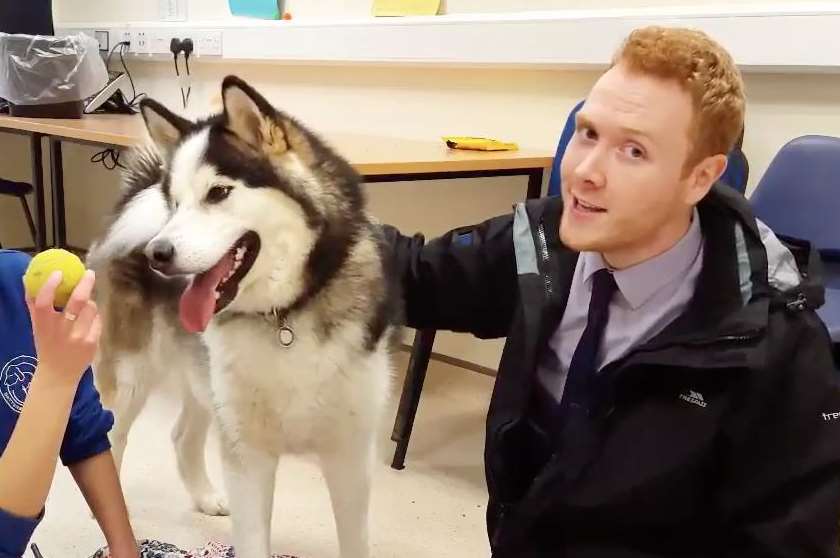 Reporter Ben Kennedy with Theo the Alaskan Malamute last year