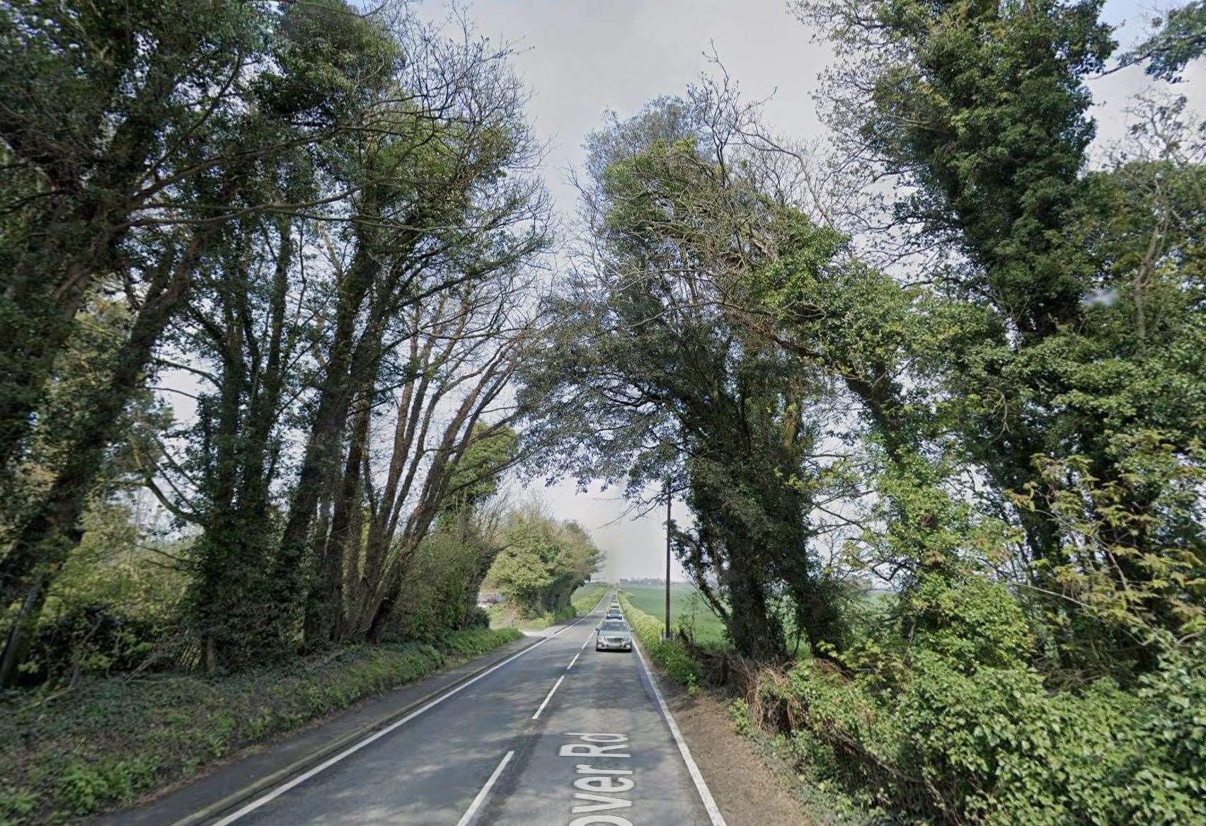 Firefighters are tackling a blaze involving a large number of conifer trees near the A258 in Deal. Picture: Google
