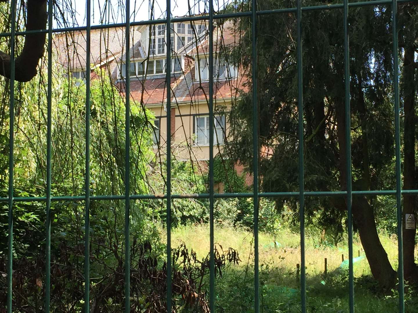 Herne Bay Court used to have manicured lawns, but is now overgrown and an eyesore