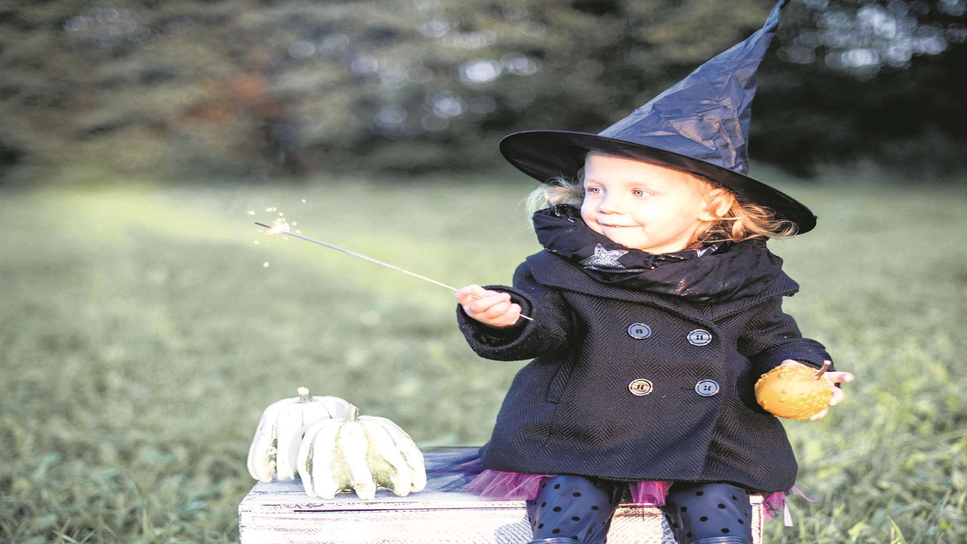 There's so much happening at October half term across Kent
