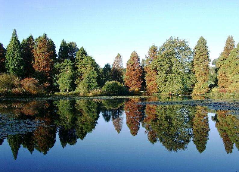 Bedgebury Pinetum in Goudhurst has one of the Forestry Commission's Top 10 trails
