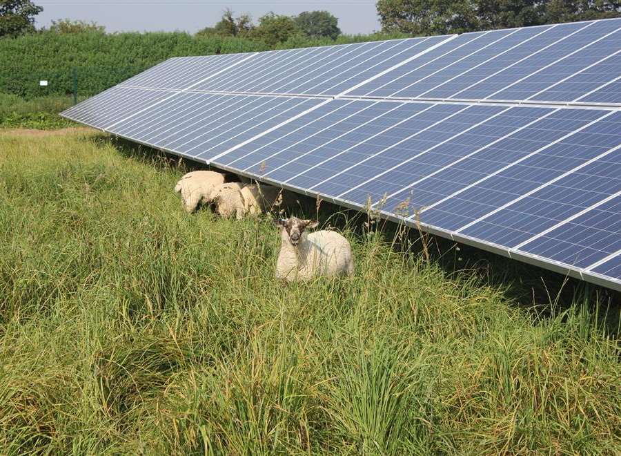 12-acre solar farm plan turned down 