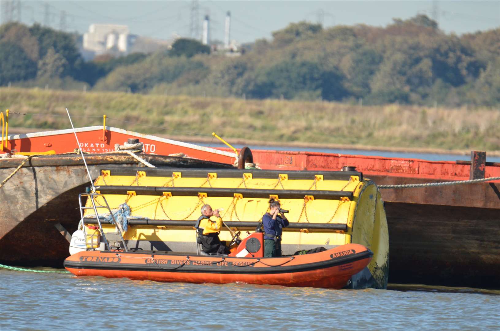 The British Divers Marine Life Rescue were pictured at the scene. Picture: Jason Arthur